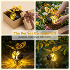 Aurabella™ — Ignite Your Evenings with Heartfelt Warmth and Endless Glow