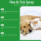 ProtectraMist™ — Instantly Soothe Itchy Skin and Keep Pesky Pests Far Away