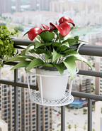 Lumecrest™ — Make Your Plants the Center of Attention Without the Hassle