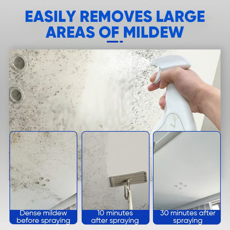 MoldAway™ — Instantly Erase Mold and Breathe Easy in a Fresh, Healthy Home