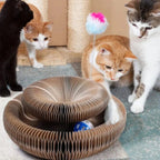 PurrZest™ — Ignite Your Cat’s Playful Instincts and Keep Them Fit for Life