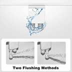 PureMist™ — Experience Refreshing Cleanliness That Leaves You Feeling Confident and Completely Free