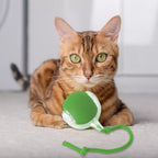 PulsePounce™ — Ignite Your Cat’s Wild Instincts for Hours of Thrilling Play and Healthier Teeth