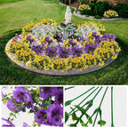 VivaFlora™ — Endless Blooming Beauty That Brightens Every Day Without Effort