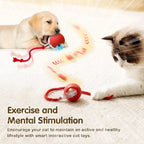 PulsePounce™ — Ignite Your Cat’s Wild Instincts for Hours of Thrilling Play and Healthier Teeth