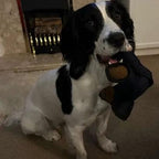 FangFort™ — Tough Play That Keeps Teeth Clean and Tails Wagging