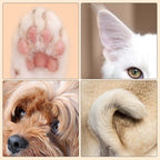 PawVanta™ — Keep Your Pet’s Paws Happy, Healthy, and Adventure-Ready