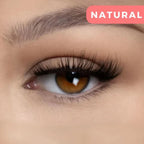Qevrissa™ Magnetic Kit — Effortless Glam That Commands Attention All Day Long