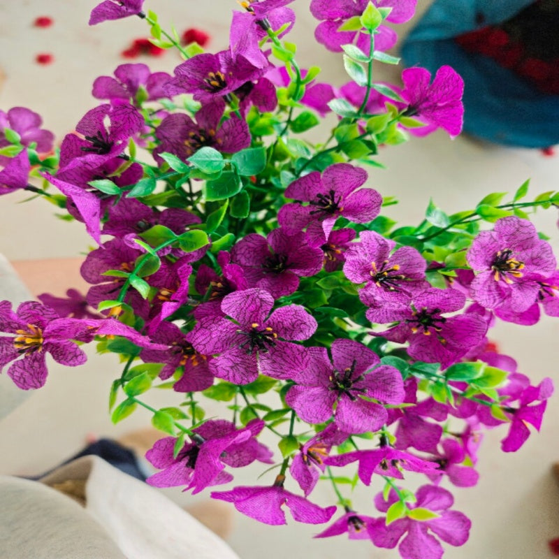 VivaFlora™ — Endless Blooming Beauty That Brightens Every Day Without Effort