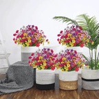 VivaFlora™ — Endless Blooming Beauty That Brightens Every Day Without Effort