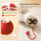 PulsePounce™ — Ignite Your Cat’s Wild Instincts for Hours of Thrilling Play and Healthier Teeth