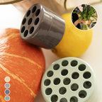 BloomVault™ — Effortless Elegance That Keeps Your Flowers Fresh and Flawless All Day