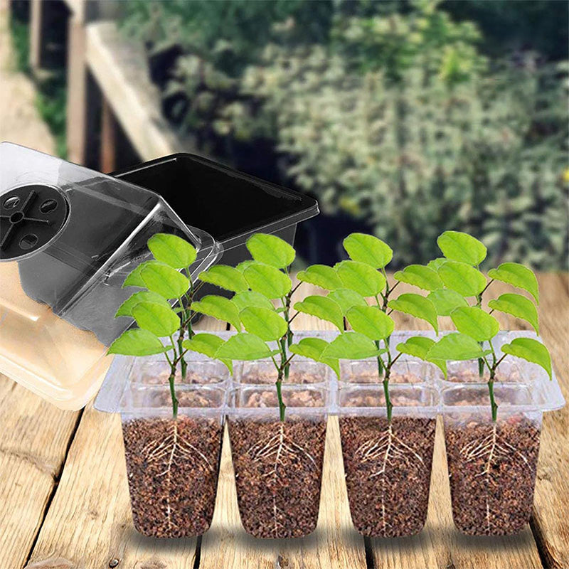 LuminaSprout™ — Watch Your Seedlings Explode to Life with Perfect Light and Care