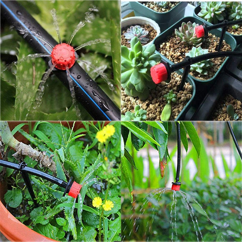 HydroScript™ — Take Command of Every Drop for Thriving, Lush Growth