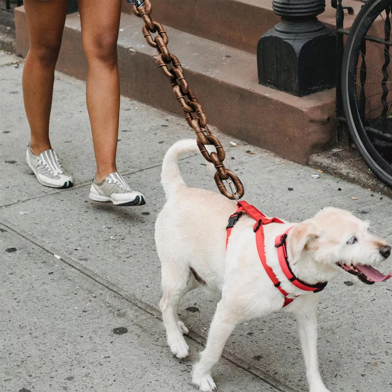 ChicPaw™ — Unleash Stylish Freedom and Confidence on Every Walk