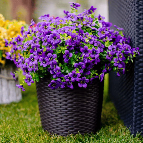 VivaFlora™ — Endless Blooming Beauty That Brightens Every Day Without Effort