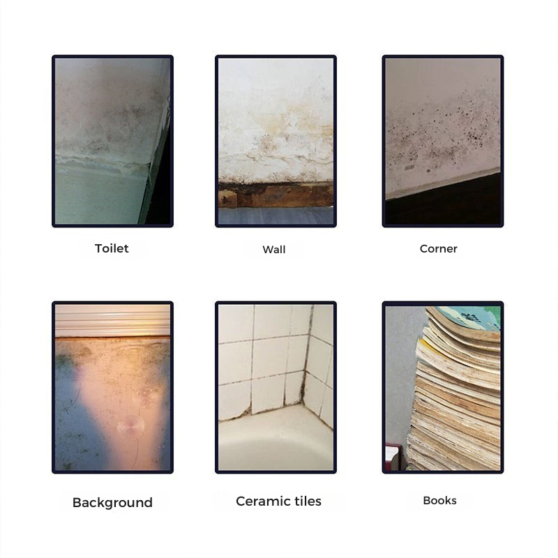 MoldGuardPro™ — Erase Mold Instantly for a Healthier, Happier Home