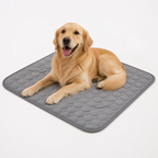 GlacierPaw™ — Ultimate Cool Comfort That Turns Heat Into Happy Calm