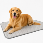 GlacierPaw™ — Ultimate Cool Comfort That Turns Heat Into Happy Calm