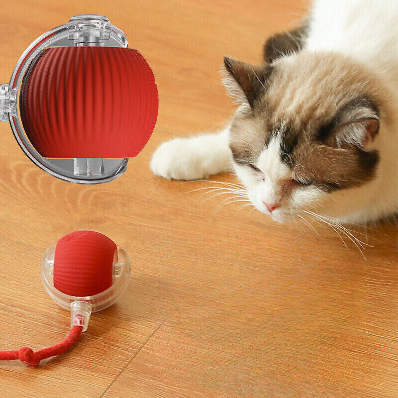 PulsePounce™ — Ignite Your Cat’s Wild Instincts for Hours of Thrilling Play and Healthier Teeth