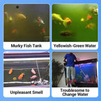 NeptunePure™ — Watch Your Aquarium Burst With Vibrant, Crystal-Clear Life Every Day
