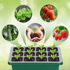 LuminaSprout™ — Watch Your Seedlings Explode to Life with Perfect Light and Care