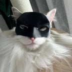 NightProwler™ — Ignite Boldness and Make Every Moment Your Cat’s Legendary Spotlight