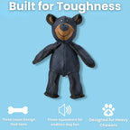 FangFort™ — Tough Play That Keeps Teeth Clean and Tails Wagging