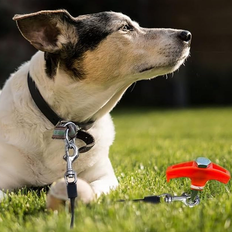 TorqueGrip™ Pegs — Lock Your Tent Instantly and Never Fear the Wind Again