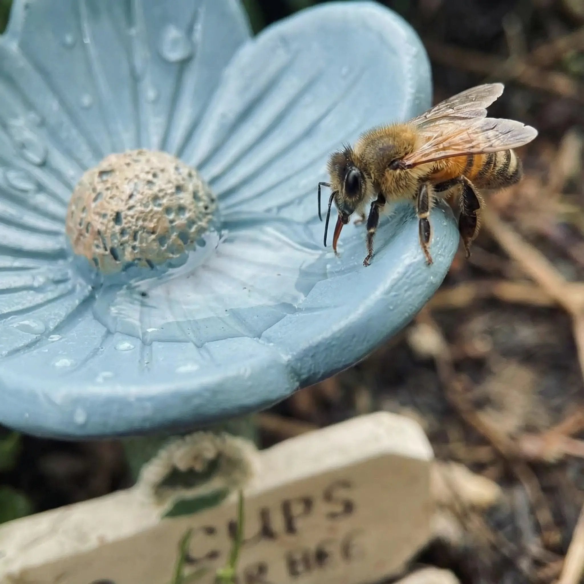EcoFlow™ Pollinator Oasis — Watch Your Garden Burst with Life, Color, and Buzzing Visitors Every Day