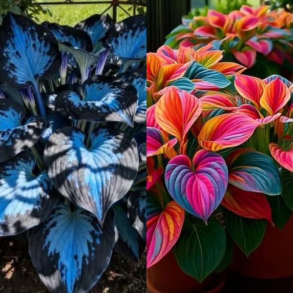 VerdantEase™ Seeds — Watch Your Darkest Corners Burst into Lush, Colorful Life with Zero Hassle