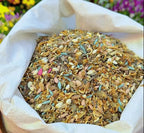 BloomBurst™ — Ignite Your Garden with Vibrant Blooms That Captivate Every Season