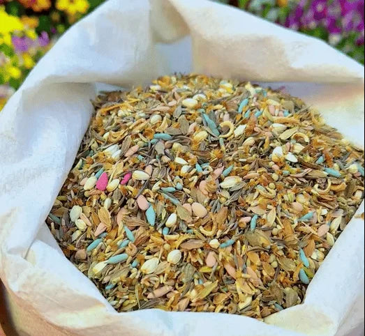 BloomBurst™ — Ignite Your Garden with Vibrant Blooms That Captivate Every Season