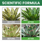 VitaRoot™ — Unlock Rapid, Lush Growth with Effortless, All-Natural Feeding