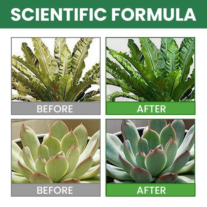 VitaRoot™ — Unlock Rapid, Lush Growth with Effortless, All-Natural Feeding