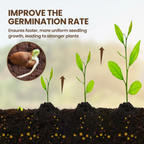 TerraPulse™ Soil Reviver — Ignite Explosive Growth with Soil That Feeds, Drains, and Thrives