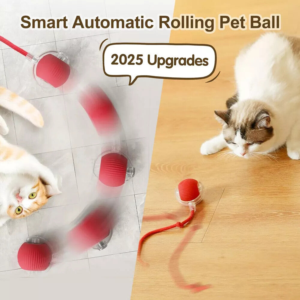 PulsePounce™ — Ignite Your Cat’s Wild Instincts for Hours of Thrilling Play and Healthier Teeth