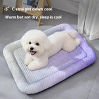 ChillPaw™ — Instant, Soothing Coolness Your Pet Will Crave Every Day