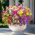 VivaFlora™ — Endless Blooming Beauty That Brightens Every Day Without Effort