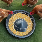 AviFeast™ — Bring Peace, Order, and Plenty to Every Bird’s Meal