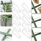 TitanLoop™ — Unbreakable Support That Makes Your Garden Thrive and Shine