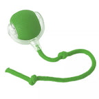 PulsePounce™ — Ignite Your Cat’s Wild Instincts for Hours of Thrilling Play and Healthier Teeth