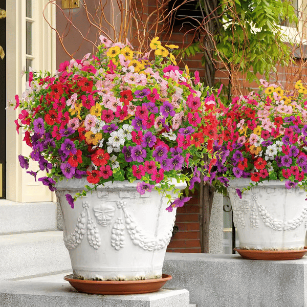 VivaFlora™ — Endless Blooming Beauty That Brightens Every Day Without Effort