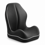 Lumora™ — Transform Every Seat into a Pain-Free Power Zone