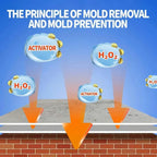 MoldAway™ — Instantly Erase Mold and Breathe Easy in a Fresh, Healthy Home