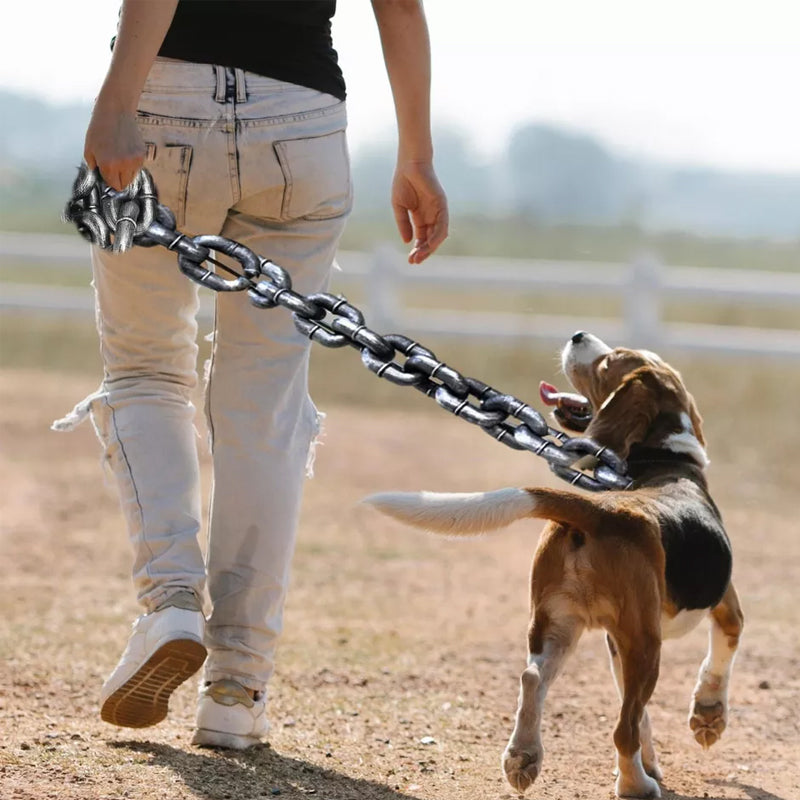 ChicPaw™ — Unleash Stylish Freedom and Confidence on Every Walk