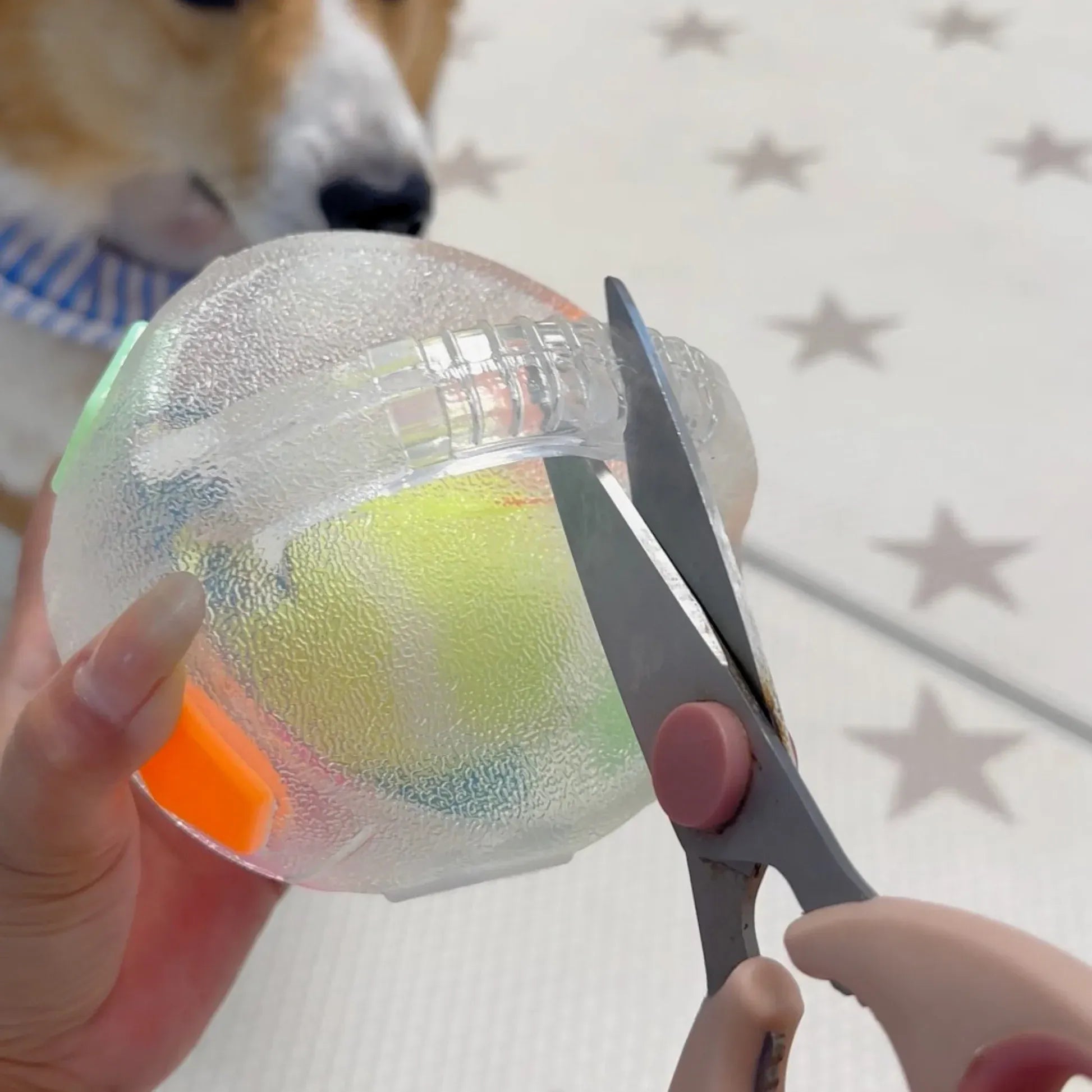 OrbitPup™ — Ignite Your Dog’s Energy and Spark a Healthy, Happy Smile