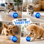 RamudoSpin™ — Ignite Your Pet’s Playful Spirit with Endless Fun and Energy