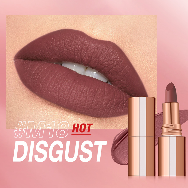 VelvetStay lipstick in Disgust